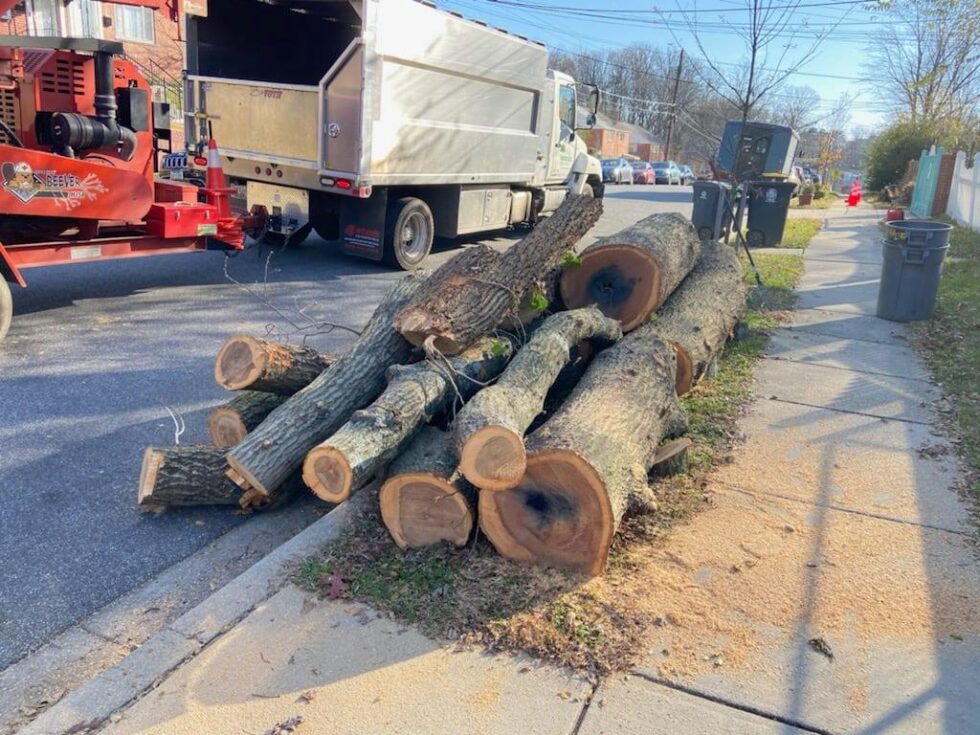 About Us H&S Brothers Tree Service